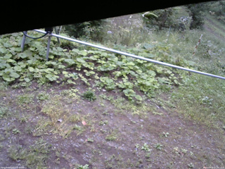 長野県菅平高原 ゆたか山荘 駐車場 2026/09/15 07:45