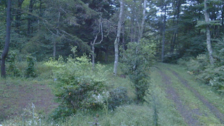 長野県菅平高原 ゆたか山荘 坂上 2026/09/15 05:30