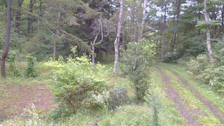 長野県菅平高原 ゆたか山荘 坂上 2026/09/15 05:45