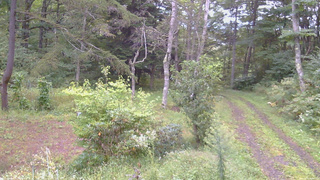 長野県菅平高原 ゆたか山荘 坂上 2026/09/15 06:00