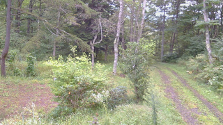 長野県菅平高原 ゆたか山荘 坂上 2026/09/15 06:15