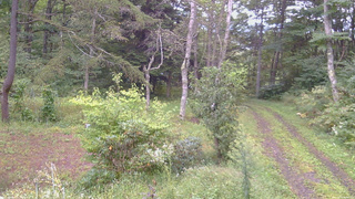 長野県菅平高原 ゆたか山荘 坂上 2026/09/15 06:30