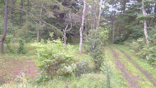 長野県菅平高原 ゆたか山荘 坂上 2026/09/15 06:45