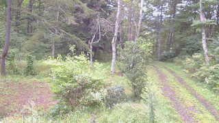 長野県菅平高原 ゆたか山荘 坂上 2026/09/15 07:00