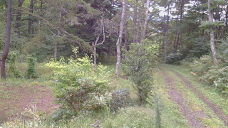 長野県菅平高原 ゆたか山荘 坂上 2026/09/15 07:45