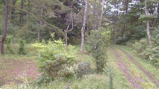 長野県菅平高原 ゆたか山荘 坂上 2026/09/15 08:00