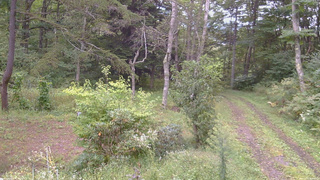長野県菅平高原 ゆたか山荘 坂上 2026/09/15 08:15