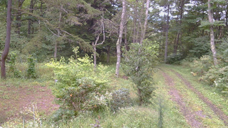 長野県菅平高原 ゆたか山荘 坂上 2026/09/15 08:30