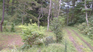 長野県菅平高原 ゆたか山荘 坂上 2026/09/15 08:45