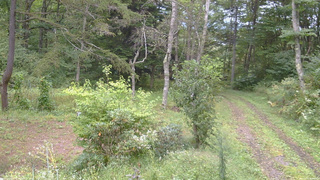 長野県菅平高原 ゆたか山荘 坂上 2026/09/15 09:00
