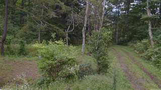 長野県菅平高原 ゆたか山荘 坂上 2026/09/15 09:15