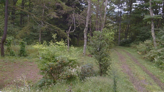 長野県菅平高原 ゆたか山荘 坂上 2026/09/15 09:30