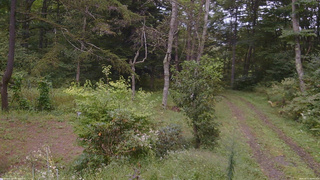 長野県菅平高原 ゆたか山荘 坂上 2026/09/15 09:45