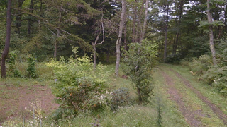 長野県菅平高原 ゆたか山荘 坂上 2026/09/15 10:00