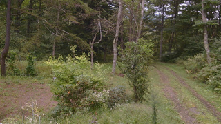 長野県菅平高原 ゆたか山荘 坂上 2026/09/15 10:30