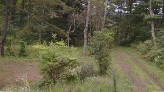 長野県菅平高原 ゆたか山荘 坂上 2026/09/15 10:45