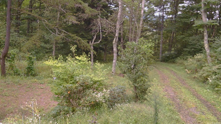 長野県菅平高原 ゆたか山荘 坂上 2026/09/15 11:00