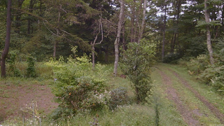 長野県菅平高原 ゆたか山荘 坂上 2026/09/15 12:00