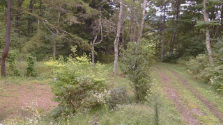 長野県菅平高原 ゆたか山荘 坂上 2026/09/15 12:30