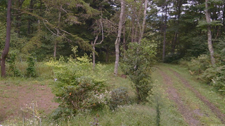 長野県菅平高原 ゆたか山荘 坂上 2026/09/15 12:45