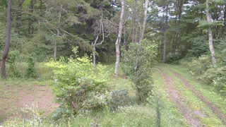 長野県菅平高原 ゆたか山荘 坂上 2026/09/15 13:00
