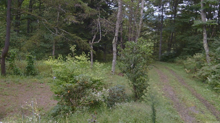 長野県菅平高原 ゆたか山荘 坂上 2026/09/15 13:15