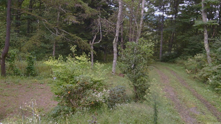 長野県菅平高原 ゆたか山荘 坂上 2026/09/15 13:30
