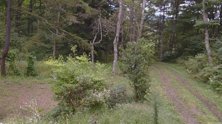 長野県菅平高原 ゆたか山荘 坂上 2026/09/15 13:45