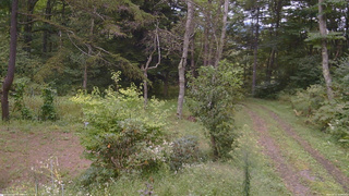 長野県菅平高原 ゆたか山荘 坂上 2026/09/15 14:00