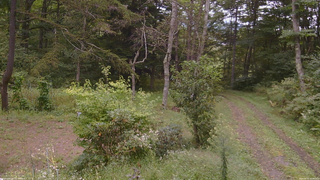 長野県菅平高原 ゆたか山荘 坂上 2026/09/15 14:30