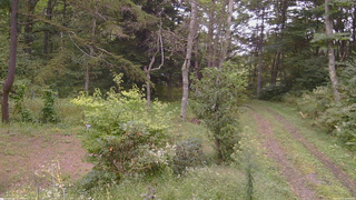 長野県菅平高原 ゆたか山荘 坂上 2026/09/15 14:45