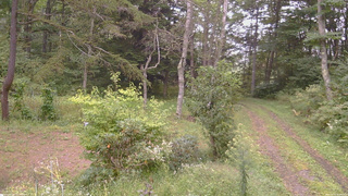 長野県菅平高原 ゆたか山荘 坂上 2026/09/15 15:00