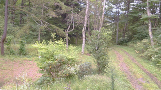 長野県菅平高原 ゆたか山荘 坂上 2026/09/15 15:15