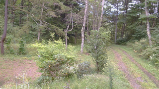 長野県菅平高原 ゆたか山荘 坂上 2026/09/15 15:30