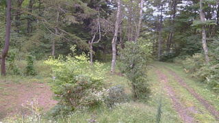 長野県菅平高原 ゆたか山荘 坂上 2026/09/15 15:45
