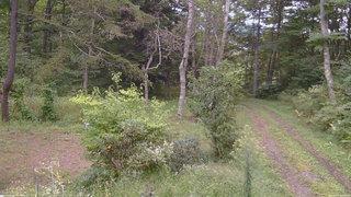 長野県菅平高原 ゆたか山荘 坂上 2026/09/15 16:00