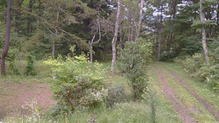 長野県菅平高原 ゆたか山荘 坂上 2026/09/15 16:45