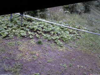 長野県菅平高原 ゆたか山荘 駐車場 2026/09/16 05:45