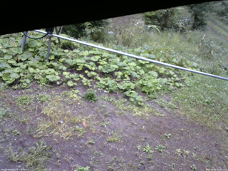 長野県菅平高原 ゆたか山荘 駐車場 2026/09/16 08:30