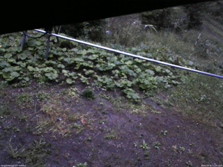 長野県菅平高原 ゆたか山荘 駐車場 2026/09/16 17:45