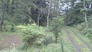 長野県菅平高原 ゆたか山荘 坂上 2026/09/16 05:45