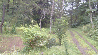 長野県菅平高原 ゆたか山荘 坂上 2026/09/16 06:00