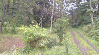 長野県菅平高原 ゆたか山荘 坂上 2026/09/16 06:15