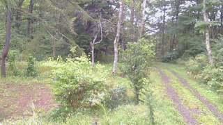 長野県菅平高原 ゆたか山荘 坂上 2026/09/16 06:30