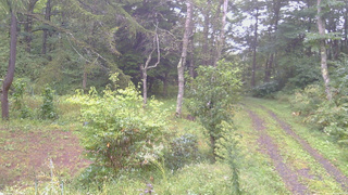 長野県菅平高原 ゆたか山荘 坂上 2026/09/16 06:45