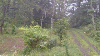 長野県菅平高原 ゆたか山荘 坂上 2026/09/16 07:00