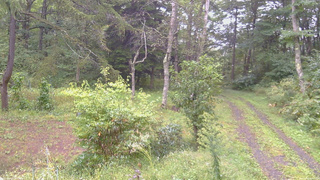 長野県菅平高原 ゆたか山荘 坂上 2026/09/16 07:15