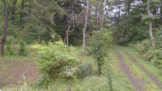 長野県菅平高原 ゆたか山荘 坂上 2026/09/16 07:30