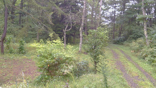 長野県菅平高原 ゆたか山荘 坂上 2026/09/16 07:45