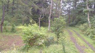 長野県菅平高原 ゆたか山荘 坂上 2026/09/16 08:00